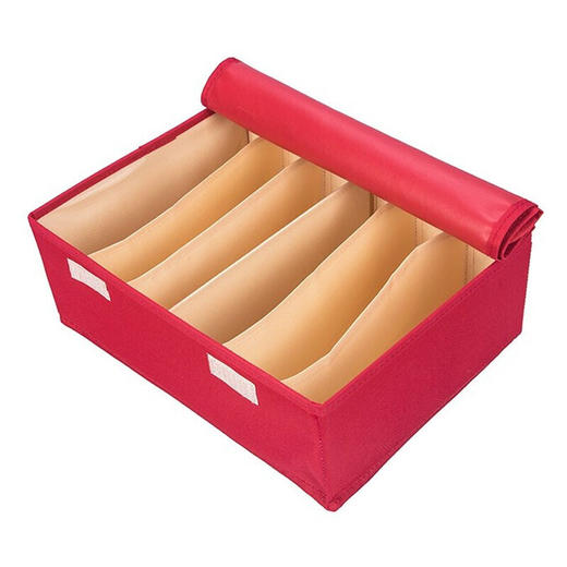 安巢家居 内衣收纳盒 6格收纳盒 AJ288 商品图0