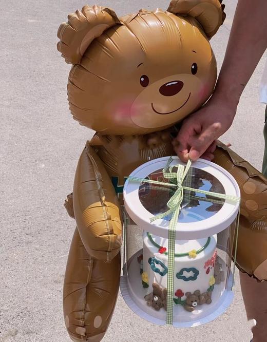 5寸抱抱熊蛋 商品图0