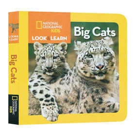 国家地理看与学系列 猫科 英文原版 National Geographic Kids Look and Learn Big Cats 儿童英语科普绘本 英文版