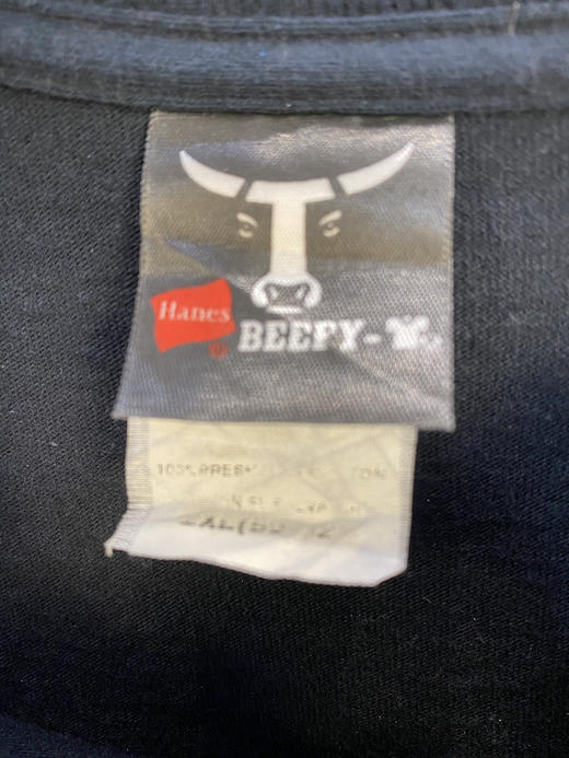 厚款
Y2K Vintage Hanes BEFFY-T 短袖T恤 _PST(2XL) 商品图2