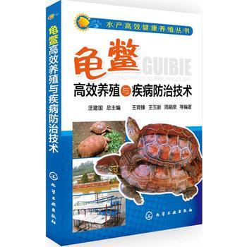 龟鳖高效养殖与疾病防治技术 水产高效健康养殖丛书  观赏龟健康养殖技术、高效养殖新技术、龟鳖疾病防治技术等内容 商品图0