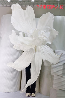 蝶舞大花（运费自理）