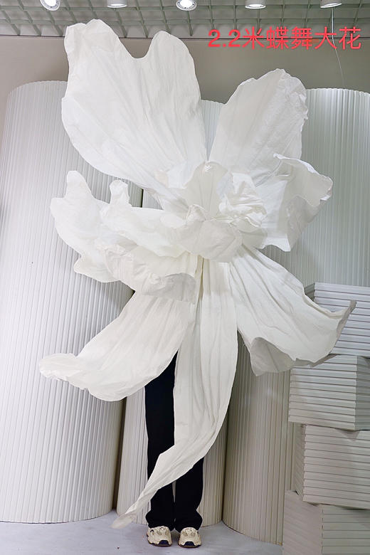 蝶舞大花（运费自理） 商品图0