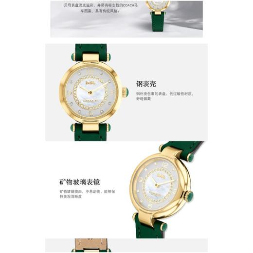 1楼COACH/蔻驰CARY系列小牛皮表带欧美腕表 商品图2