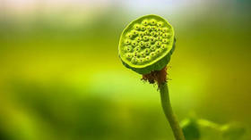 夏天养生小知识