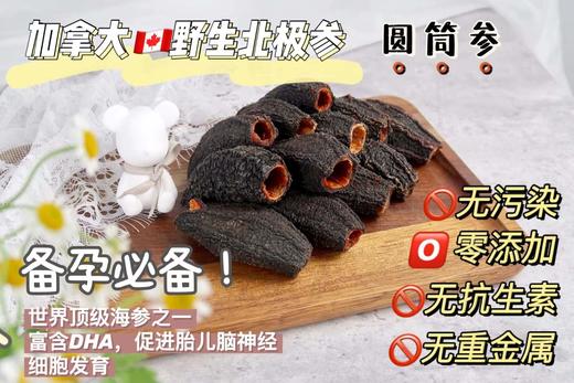 Royal star加拿大野生纯淡干海参圆筒参 25头左右/磅 宁波仓 商品图5