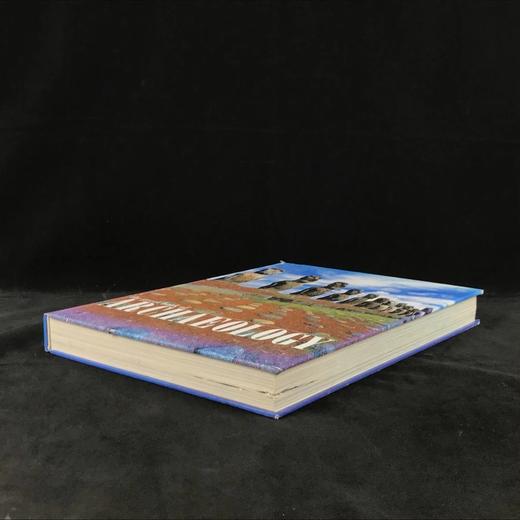 考古学之书 数百幅彩色插图 精装8开 商品图1