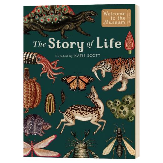 生命的故事 进化 英文原版 The Story of Life Evolution 欢迎来到博物馆系列 英文版进口原版英语科普读物书籍 商品图1