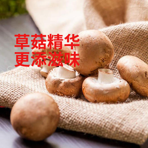 【仅供集采】李锦记 锦珍老抽1.75L×6瓶 整箱 餐饮装粤菜红烧肉上色排骨猪蹄 商品图3