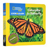 国家地理看与学系列 毛虫到蝴蝶 英文原版 National Geographic Kids Look and Learn Caterpillar to Butterfly儿童英语百科 商品缩略图0