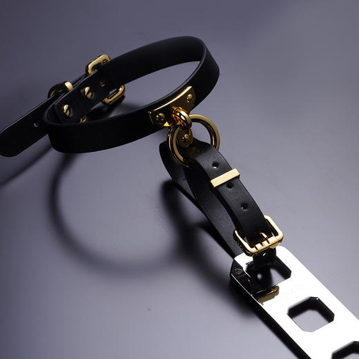 【UPKO】“重塑”可拼接束缚9件套 商品图6