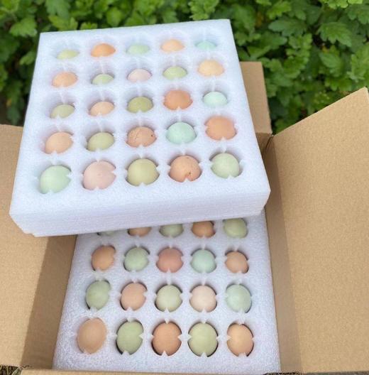 【积分换购福利价丨九华山生态散养土鸡蛋】不打激素、纯粮食喂养 品质安全 家人吃的放心！ 一份40枚！【JHS-X仓】【福利产品不支持使用优惠】 商品图9