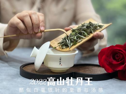 2022牡丹王，长在了银针的毫香和稠汤上，毫香清新而花香怡人（一斤收藏装） 商品图5
