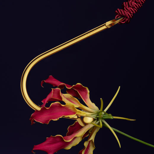 【UPKO】夜伴金属弯钩肛钩 商品图0