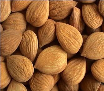 甜杏仁油  基础油 植物油 100ml 商品图1