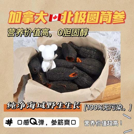 Royal star加拿大野生纯淡干海参圆筒参 25头左右/磅 宁波仓 商品图3