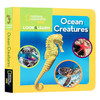 国家地理看与学系列 海洋生物 英文原版 National Geographic Kids Look and Learn Ocean Creatures儿童英语百科书 商品缩略图0