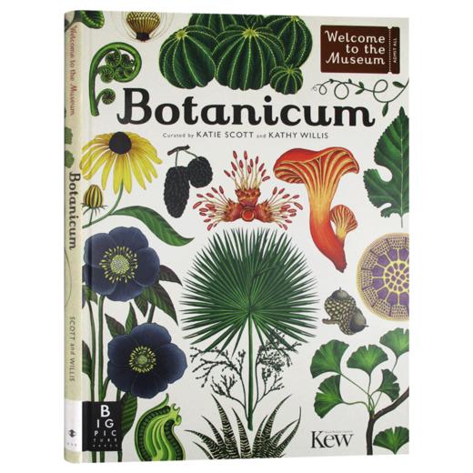 欢迎来到博物馆系列 植物博物馆 英文原版 Botanicum 英文版英语科普读物 精装大开本 进口原版书籍 商品图3