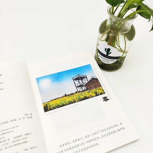 (仓发) 小岗村孩子的春夏秋冬:以小岗孩子成长经历真实纪录全面小康工程取得的伟大成就/安徽少年儿童出版社/栗亮/9787570710799 商品图4