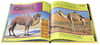 美国国家地理儿童科普百科书 英文原版 National Geographic Little Kids First Big Book of Animals 动物系列儿童读物图画故事书 商品缩略图2