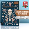欢迎来到博物馆系列 解剖馆 英文原版 Anatomicum Welcome To The Museum 精装大开本 青少年英语科普入门读物 英文版进口书籍 商品缩略图0