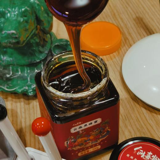 [屁侠推荐]香醇可口 花香浓郁 黑如墨的 云南西双版纳黑蜂蜜 商品图0