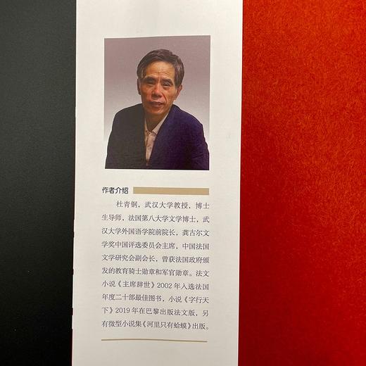 (仓发) 一凡教授/海天出版社/杜青钢/9787550731585 商品图3