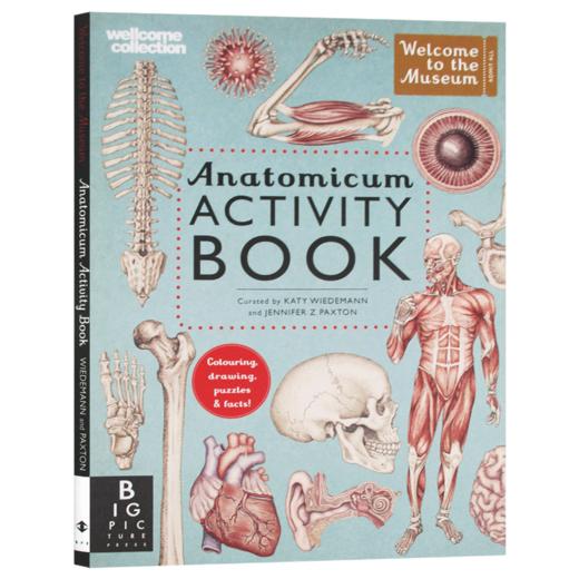 欢迎来到博物馆系列 解剖馆活动书 英文原版 Anatomicum Activity Book Welcome To The Museum 人体 英文版进口英语科普读物书籍 商品图3