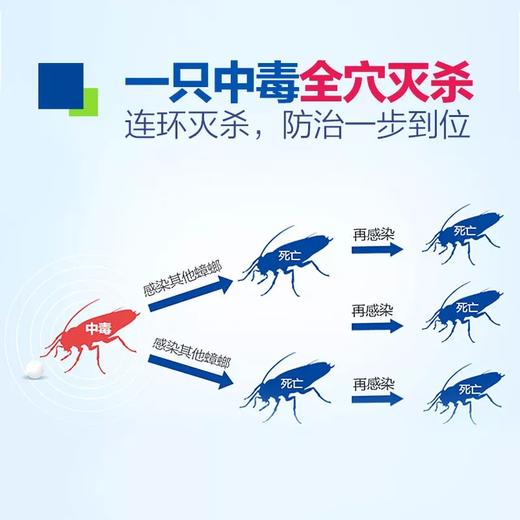 【QM】德国拜耳原装进口拜灭士杀灭蟑螂胶饵 蟑螂克星 商品图3