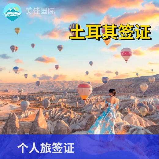 土耳其180日多次个人旅游签证·全国受理 商品图0