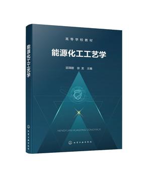 能源化工工艺学（邱泽刚）