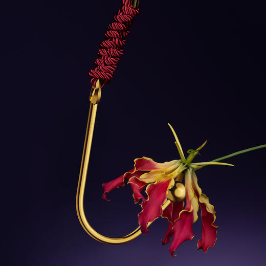 【UPKO】夜伴金属弯钩肛钩 商品图2