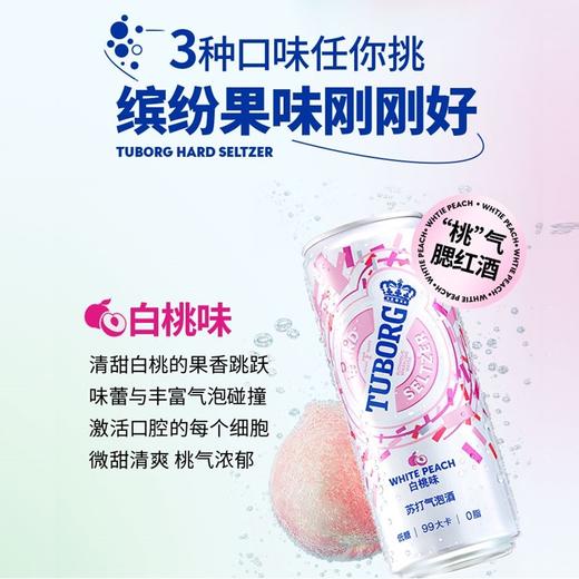 乐堡苏打气泡酒混合味包装330ml*6罐（白桃2+芒果百香果2+青柠2） 商品图2