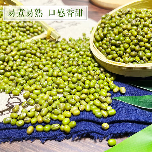 黑龙江通辽大圆绿豆5斤袋装 商品图3