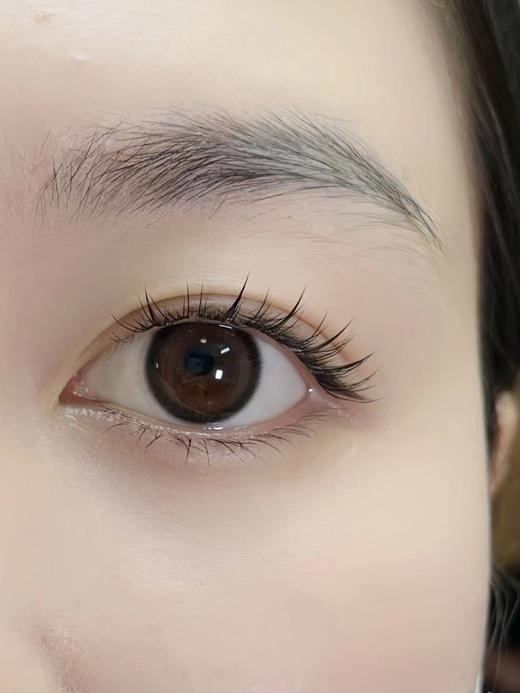 Fullygift 春日 年抛 两片 14.2mm 着色13.4mm 商品图2