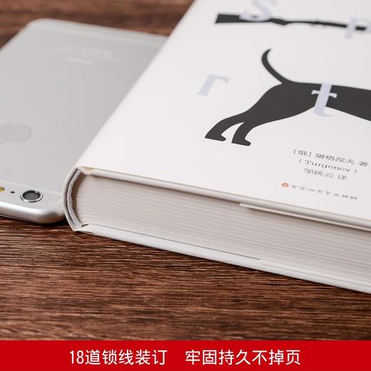 (仓发) 猎人笔记/百花洲文艺出版社/[俄罗斯]屠格涅夫（Turgenev）/9787550025660 商品图3