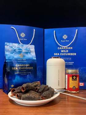 Royal star加拿大野生纯淡干海参圆筒参 25头左右/磅 宁波仓