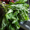 生态大叶罗勒 | 绿家自产* Ecological Basil  | Self-production 商品缩略图0