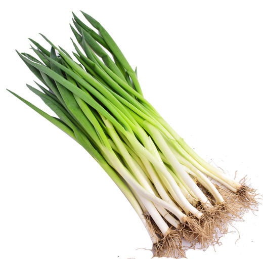 蔬菜（小葱）500g/份 商品图0