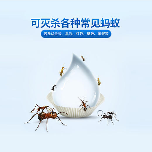 【QM】拜耳拜灭士蚂蚁药一窝端灭蚁清灭除杀蚁剂家用神器室内 商品图3