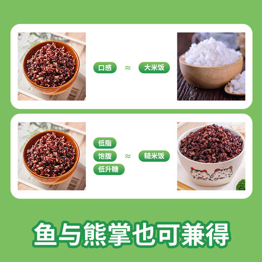 【东北七色糙米】、东北直发，五谷杂粮、糙米黑米红米燕麦荞麦粗粮、健身脂减- 商品图3