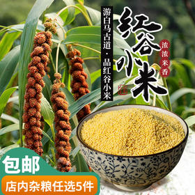 【密农特色 必买榜单】密农人家 杂粮 红谷小米山地种植厚厚米油  400g