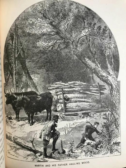 1879年 博德利故事集 数十幅精美插图 纸面精装大32开 商品图7