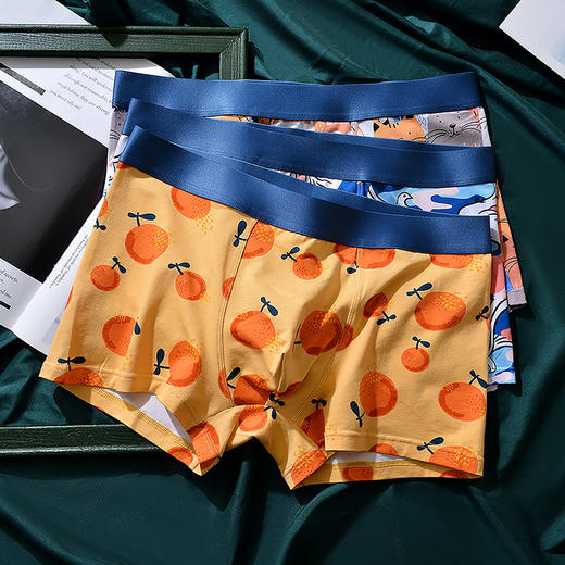 XY-1202  【1条】柿柿如意水果印花男士内裤中腰抗菌透气莫代尔棉内裤男生裤头 商品图1