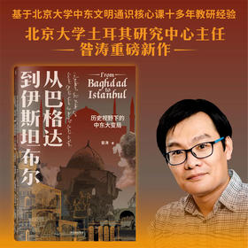 从巴格达到伊斯坦布尔 历史视野下的中东大变局 昝涛 著 张信刚施展荐读 北京大学yisilan文明与现代世界通识课 中信出版