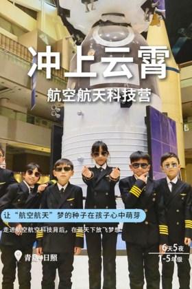 【合同】2022夏令营冲上云霄