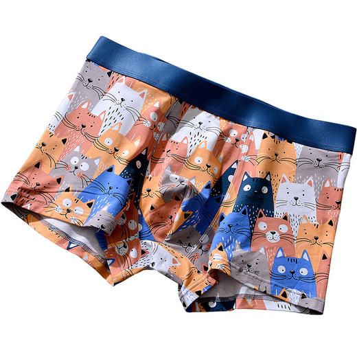 XY-1202  【1条】柿柿如意水果印花男士内裤中腰抗菌透气莫代尔棉内裤男生裤头 商品图4