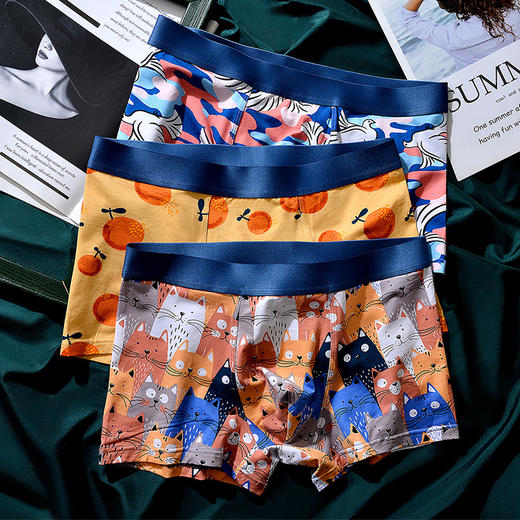 XY-1202  【1条】柿柿如意水果印花男士内裤中腰抗菌透气莫代尔棉内裤男生裤头 商品图2