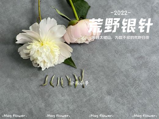 更野、更鲜、更香，荒野之花2022荒野银针攒着鲜花和翠叶的梦（50克罐装） 商品图3