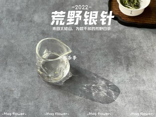 更野、更鲜、更香，荒野之花2022荒野银针攒着鲜花和翠叶的梦（50克罐装） 商品图10